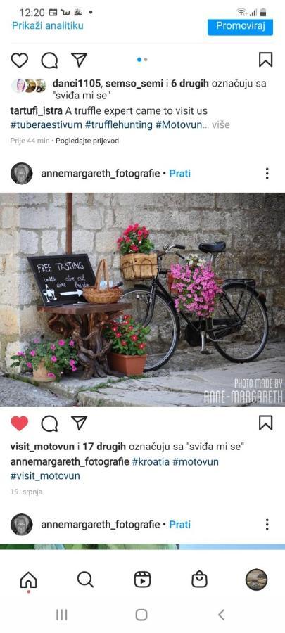 Bed & Breakfast Antico Мотовун Екстериор снимка