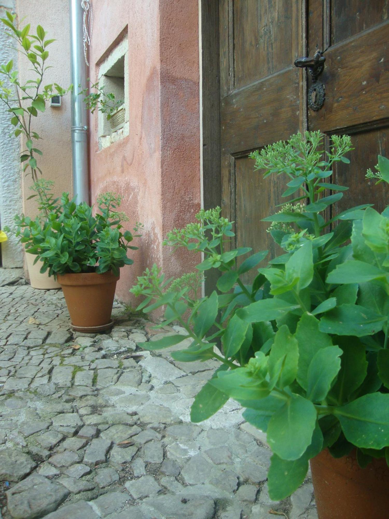 Bed & Breakfast Antico Мотовун Екстериор снимка